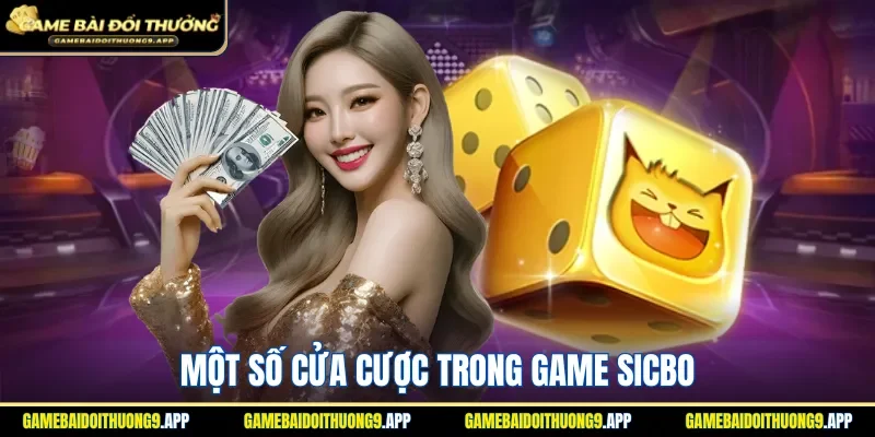 Vô vàn sự lựa chọn cược đa dạng khi tham gia
