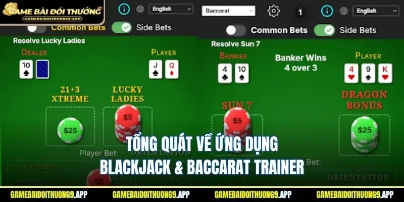 Blackjack & Baccarat Trainer - Thông tin tổng quan