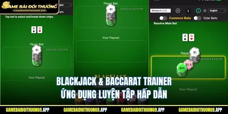 Blackjack & Baccarat Trainer