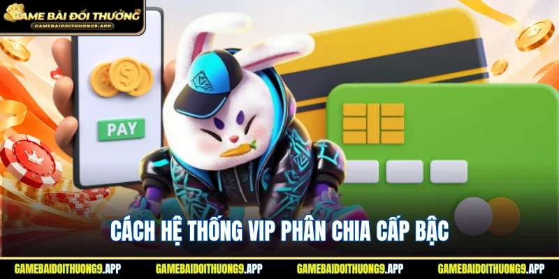 Cách hệ thống VIP phân chia nhiều cấp bậc