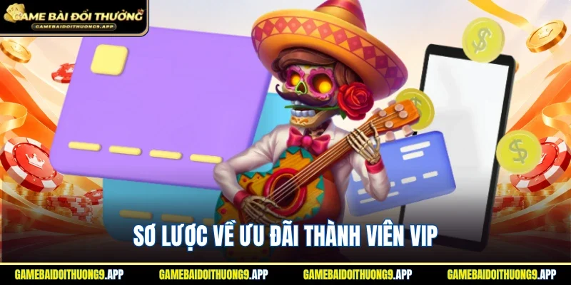 Thông tin tổng quan về ưu đãi thành viên VIP